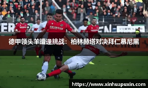 bellbet贝博官网