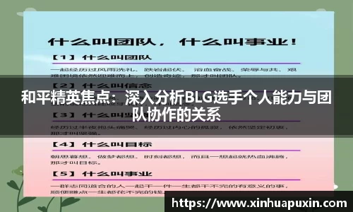 bellbet贝博APP