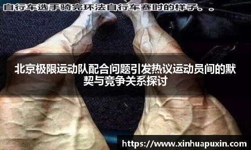 bellbet贝博官网
